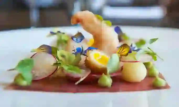 ni-food-scene-background