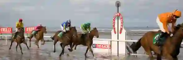 irelands-top-things-laytown
