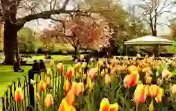 st-stephens-green-carousal