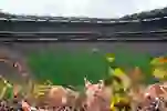 sports-quiz-teaser