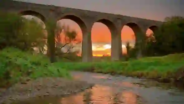 spring-images-ireland_tassgh-do-not-use-elsewhere
