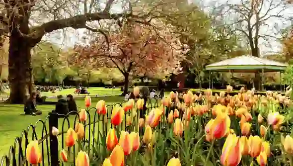 spring-in-ireland-images-Stephens-Green