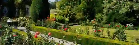 altamont-gardens-strip