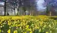 we-recommend-spring-resized