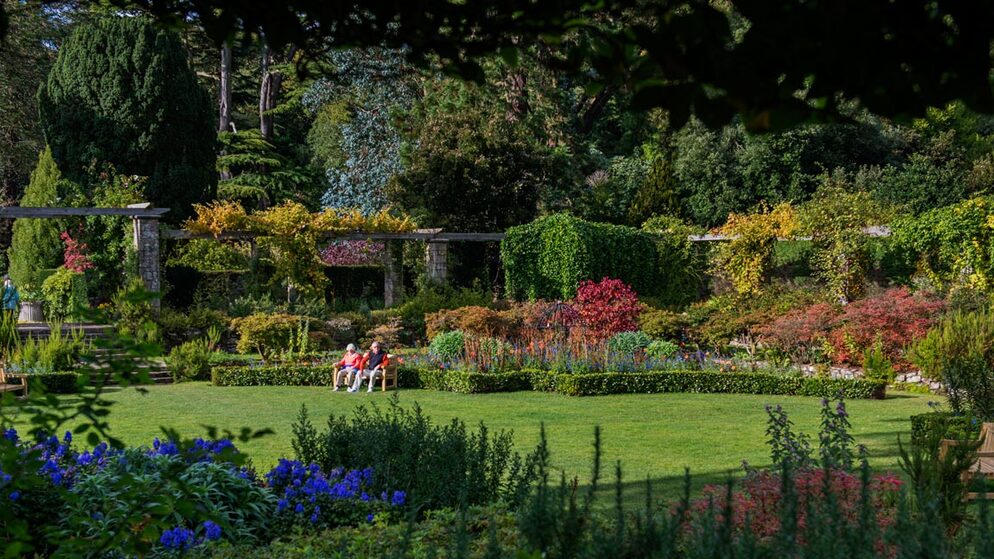 lady-londonderry-background-desktop-option-two