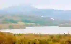 Innisfree, Sligo