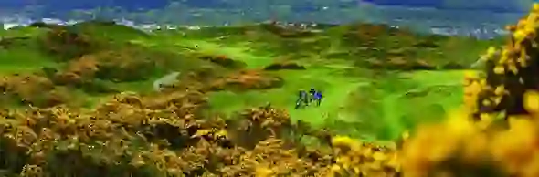amazing-places-ni-strip-golf