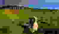 ben-bulben-calvary-three-up