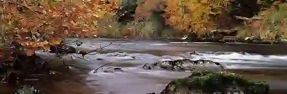 fall-photos_brown-strip