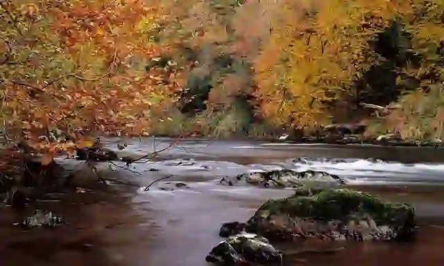 River Bandon, County Cork