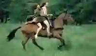 braveheart-three-up