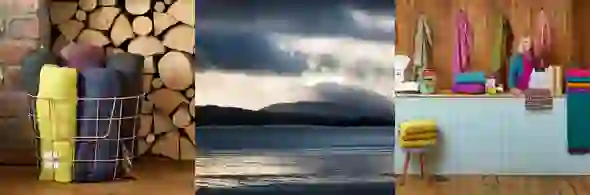 McNutt Donegal