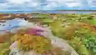 irelands-natural-phenomena-we-rec