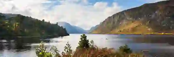 heritage-tour-glenveagh-park-strip