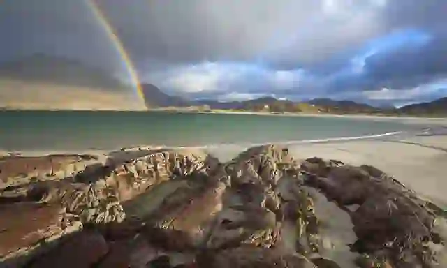 mayo-rainbow_bg