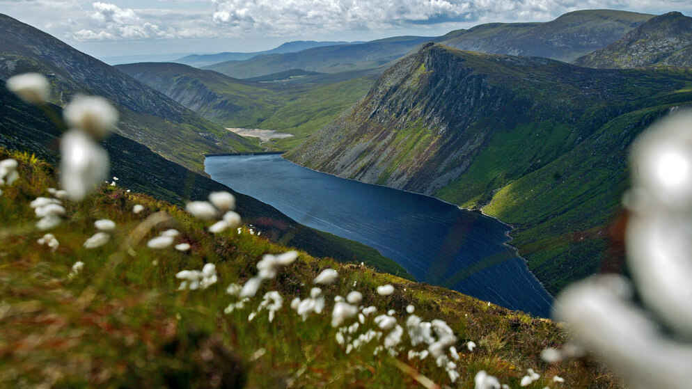 irish-quotes-bg-desk