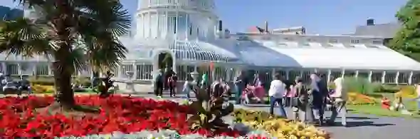 belfast-quarters-strip-botanic
