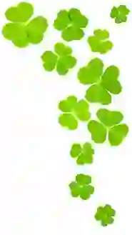 IrelandcomV2ThematicShamrockright