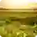 board-settings-sample-image-3
