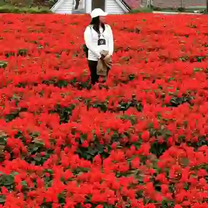 236591891_326103955962226_108807550099450326_n